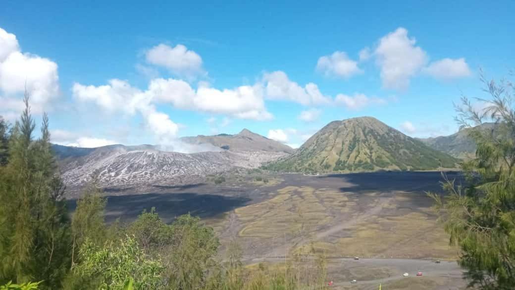 Javalindra Tour And Travel